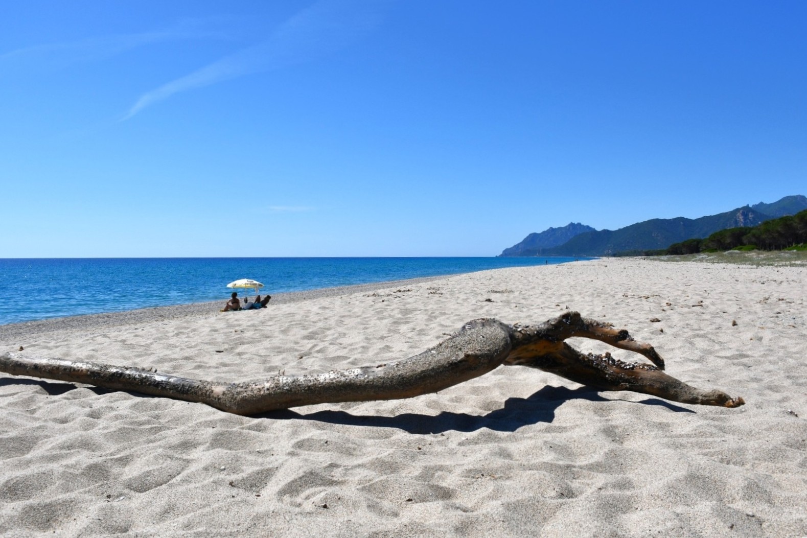 Bau Beach Planargia