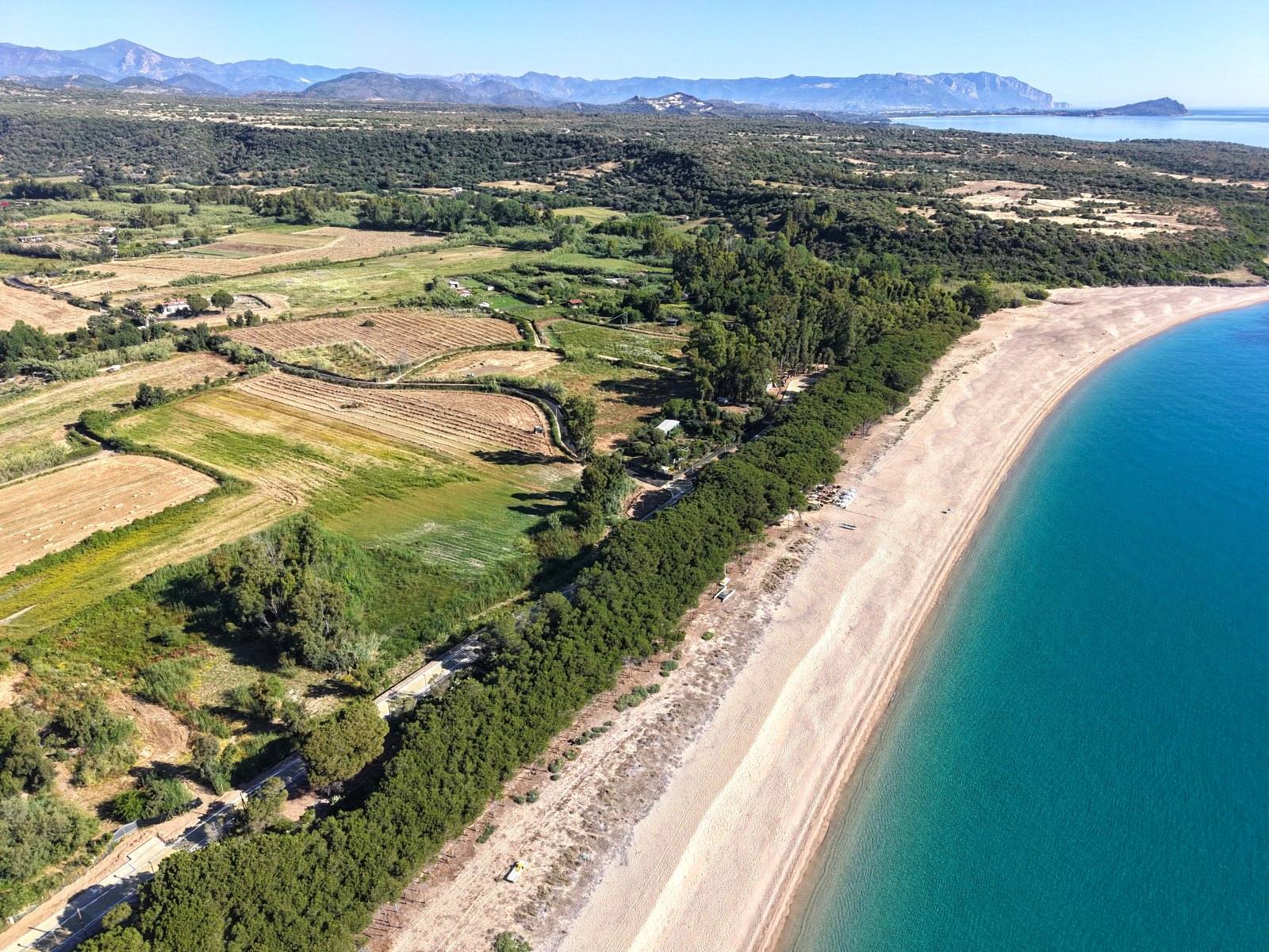 Il Fico Dog Beach