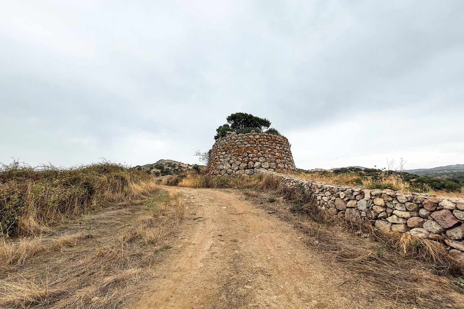 Murtas