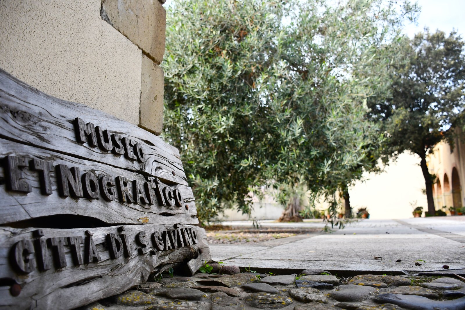 Museo Etnografico Casa Dona Maxima