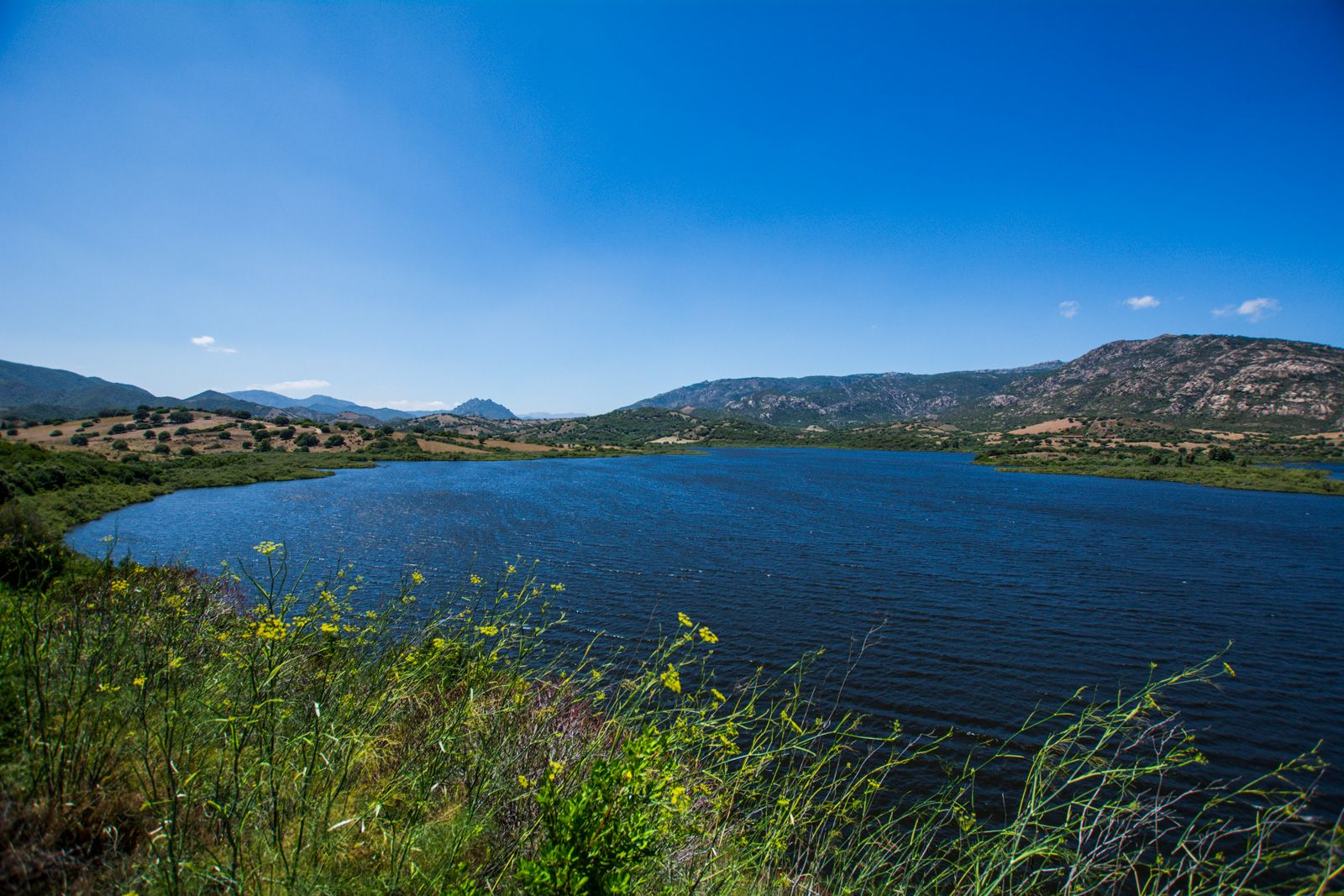 Sa Dea Oasis