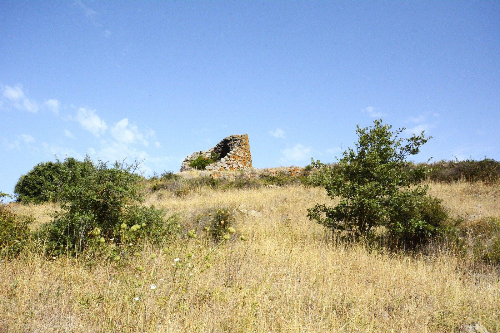Ruggiu