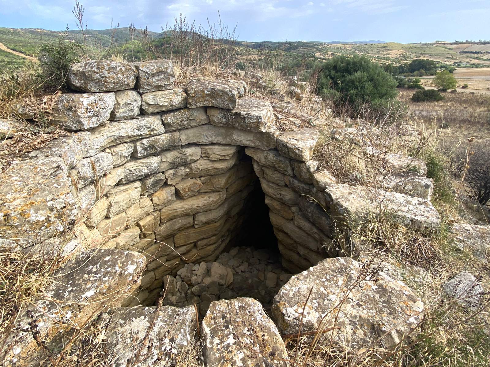 Sisini