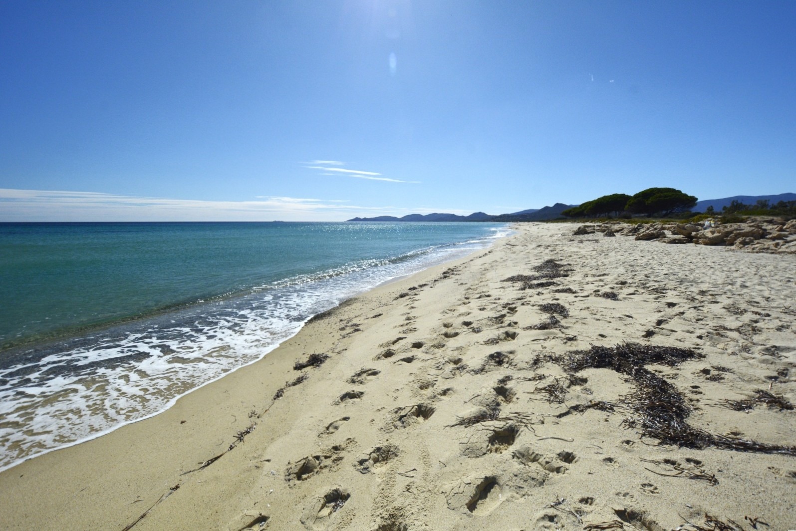 Tiliguerta Dog Beach